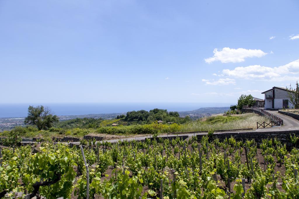 הוילה מילו Sorbello Dell'Etna מראה חיצוני תמונה